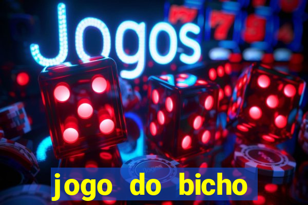 jogo do bicho crash bingo